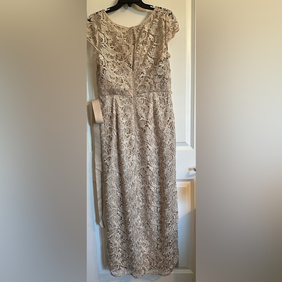 Stunning Lace Gown - Picture 7 of 10